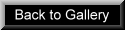 backtogallery125.jpg (2968 bytes)